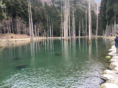 朽木渓流魚センタールアーフィールド